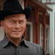 Illustration for article titled HBO Remaking Westworld, The Best Killer Theme Park Robot Movie Yet